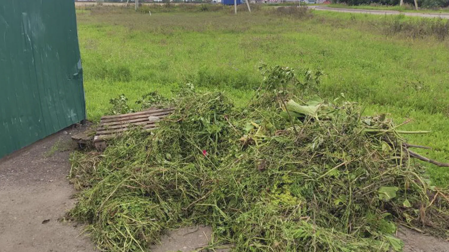 Фото: пресс-служба администрации м.о. Зарайск