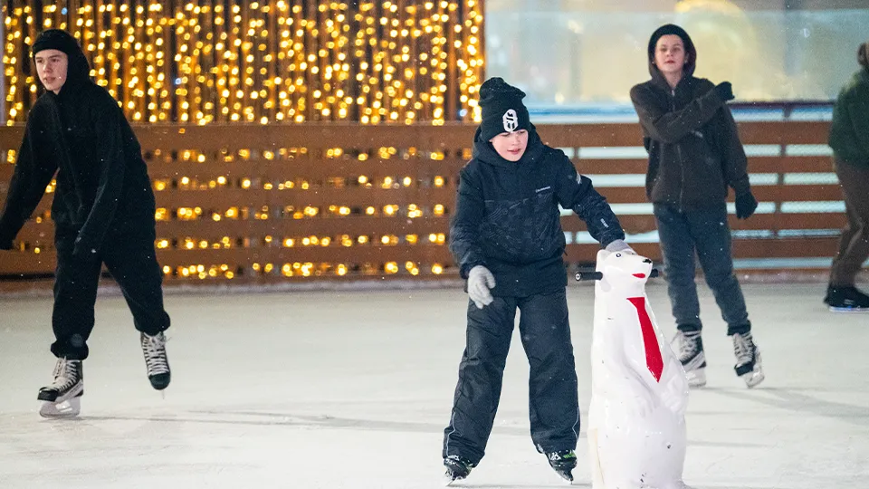 Фото: медиасток.рф
