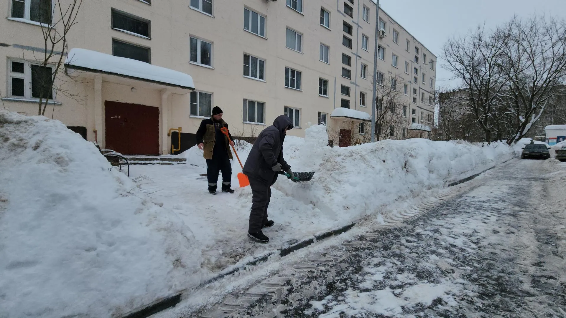 МедиаБанк Подмосковья/Екатерина Морозова