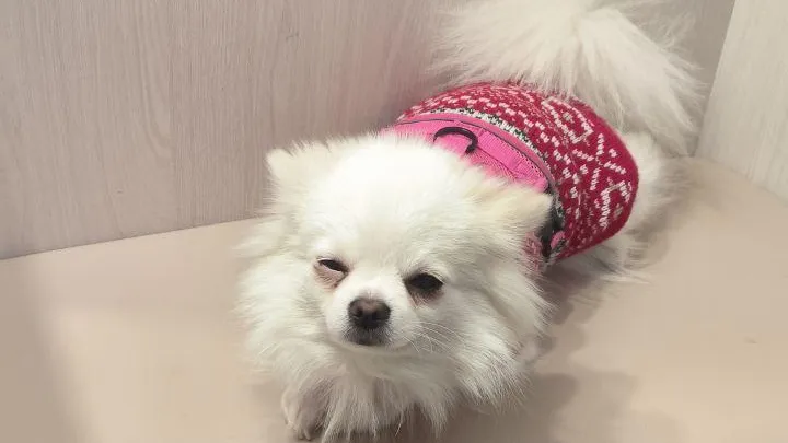 Фото: соцсети