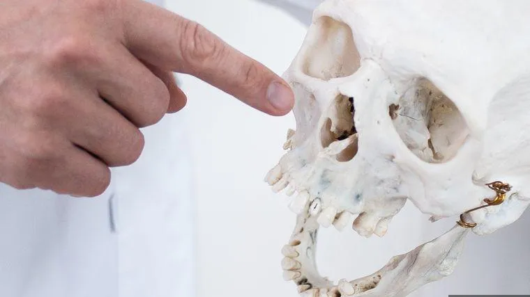 В Свердловской области в лесу обнаружено массовое захоронение людей