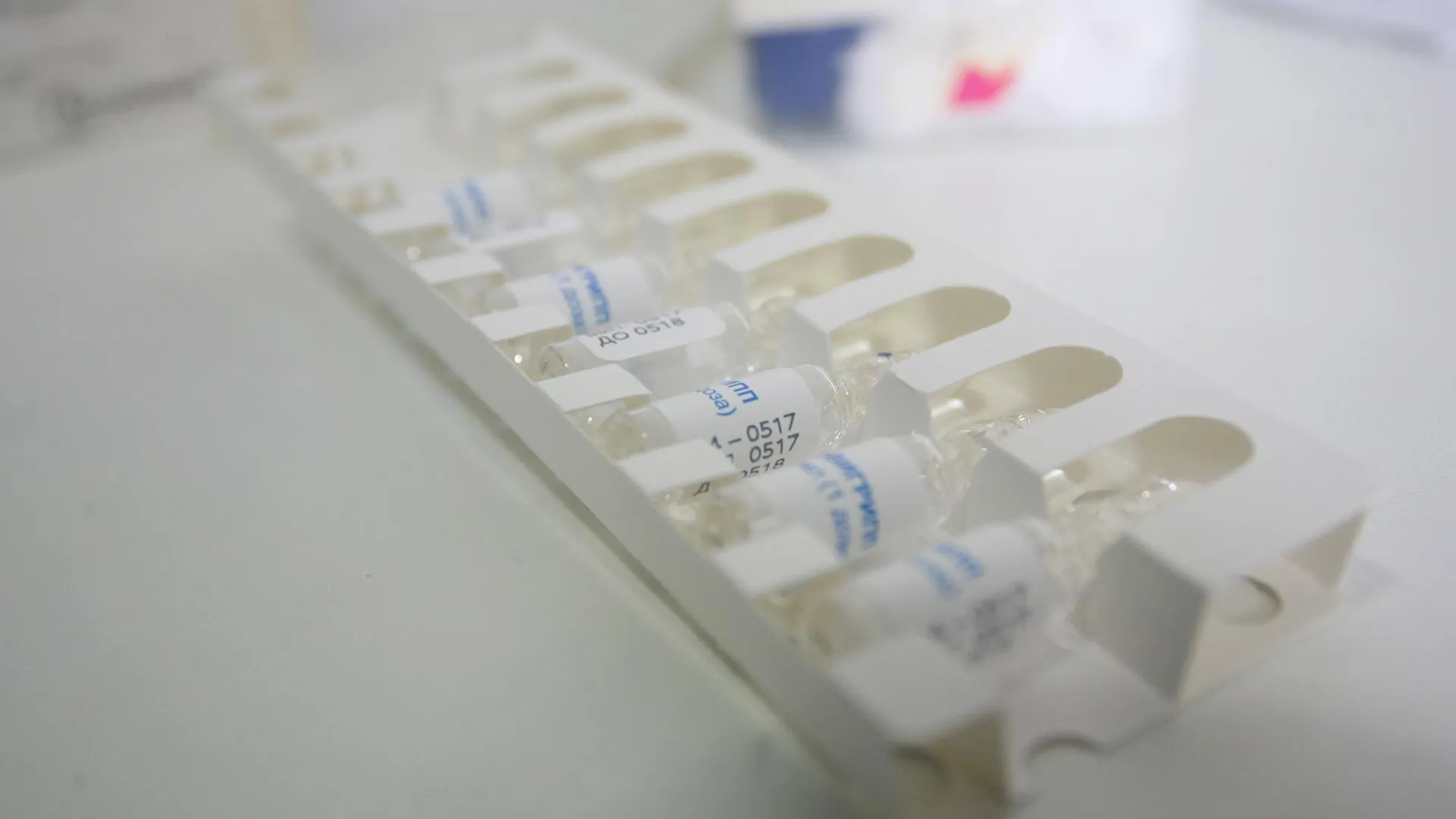 Фото: Виталий Ватулин