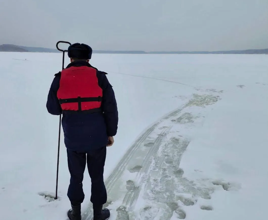Фото: ГКУ МО «Мособлпожспас»