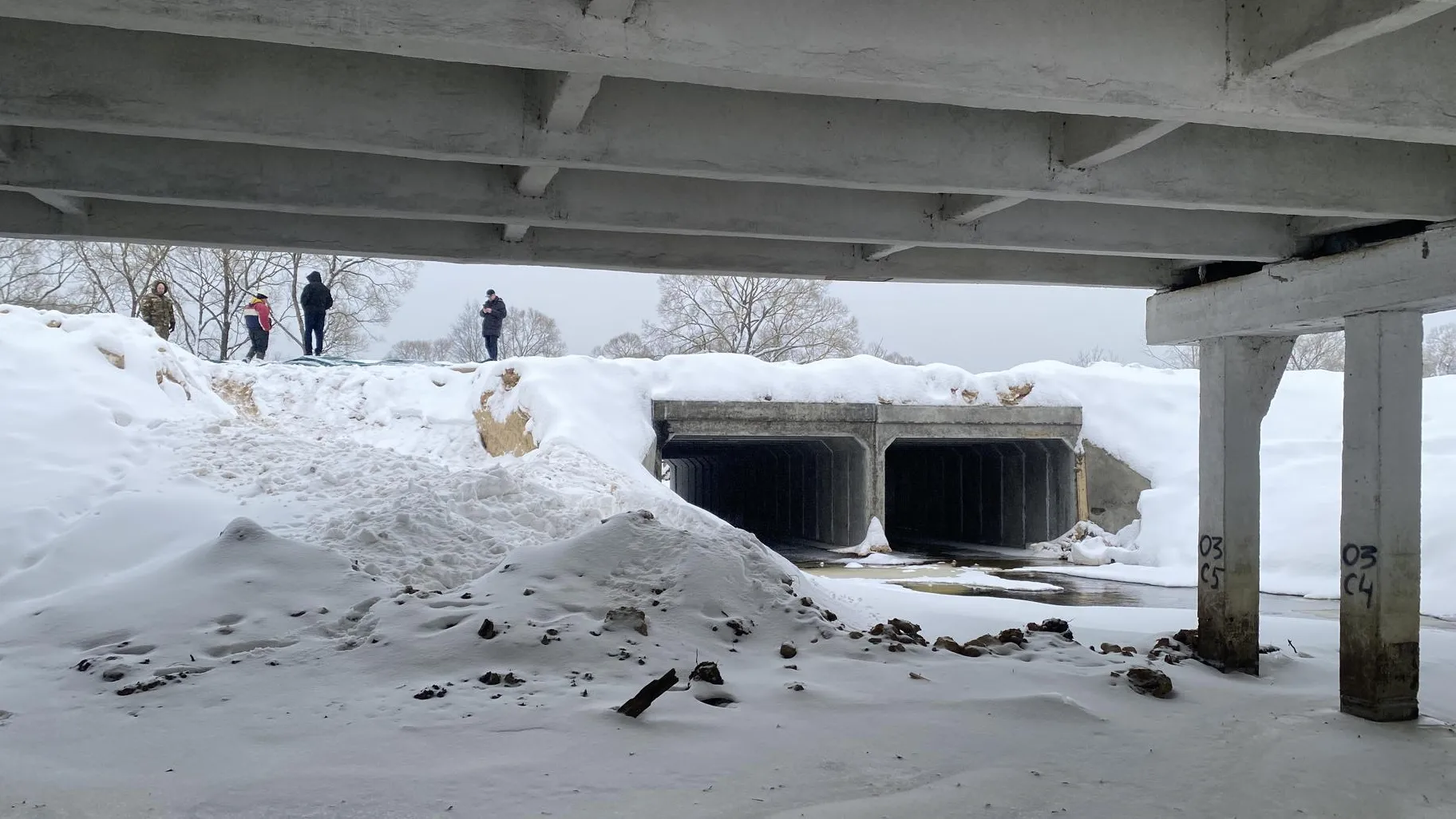 Анна Артюшина