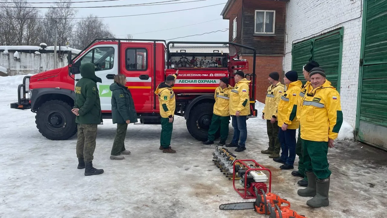 Фото: Комитет лесного хозяйства Московской области