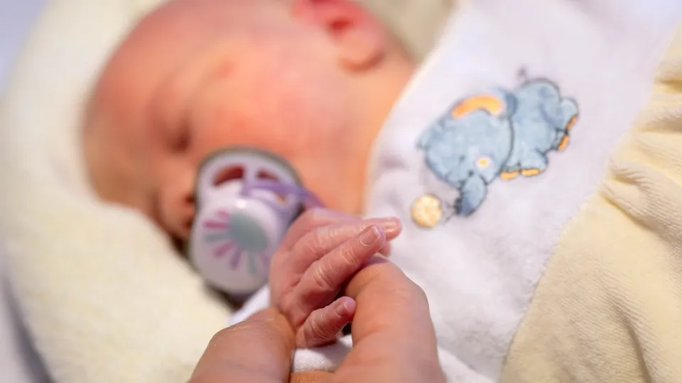 Фото: TASS/DPA/Sina Schuldt