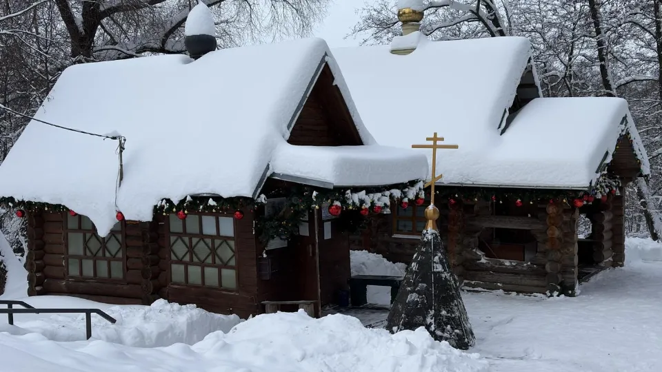 Фото: МедиаБанк Подмосковья/Анна Нестерова