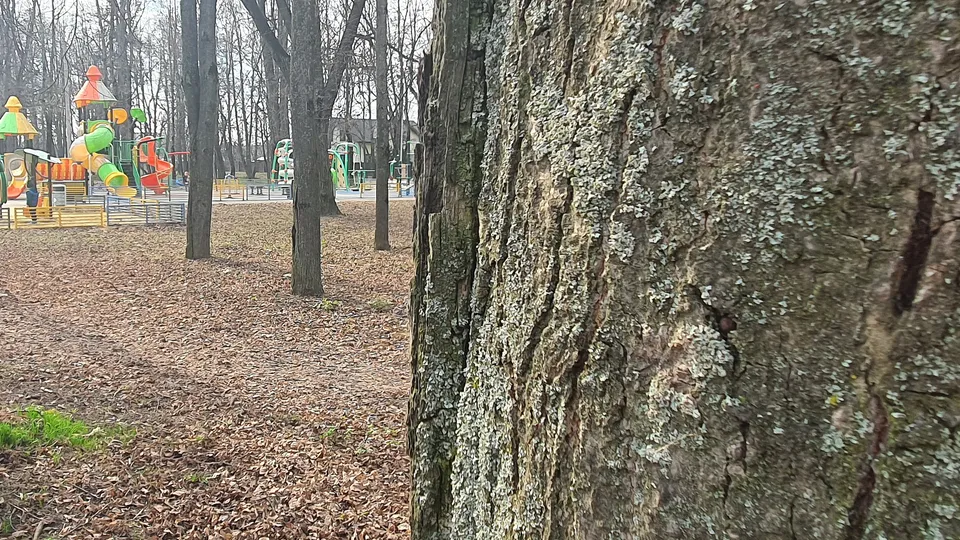 Фото: REGIONS/Наталия Надточая