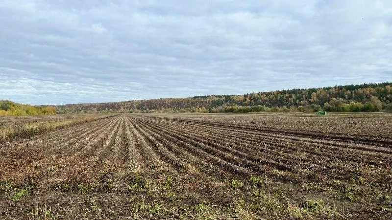 В Подмосковье выделили еще 8 участков для предоставления в безвозмездное пользование