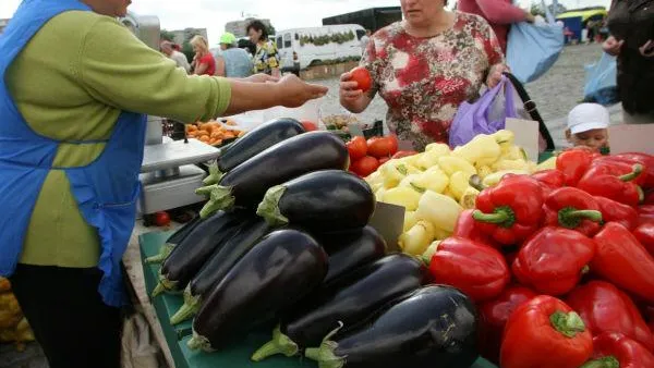 Подмосковные фермеры представят свою продукцию в Москве