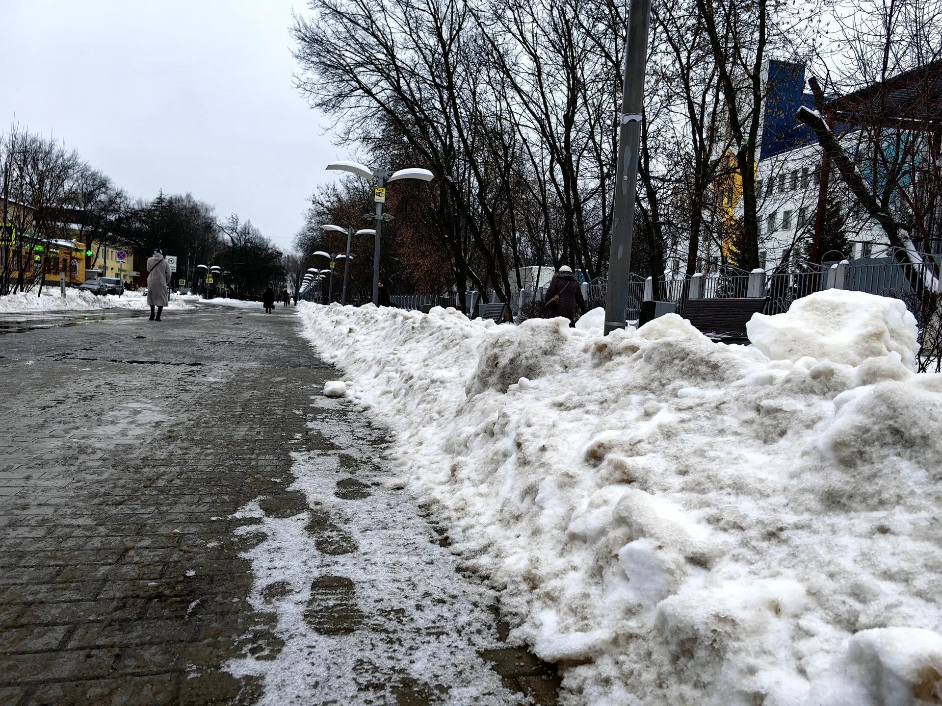 Елена Катасонова