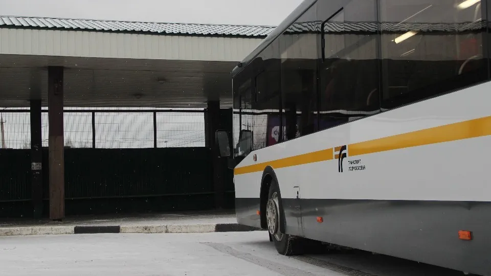 Фото: REGIONS/Василий Тремасов