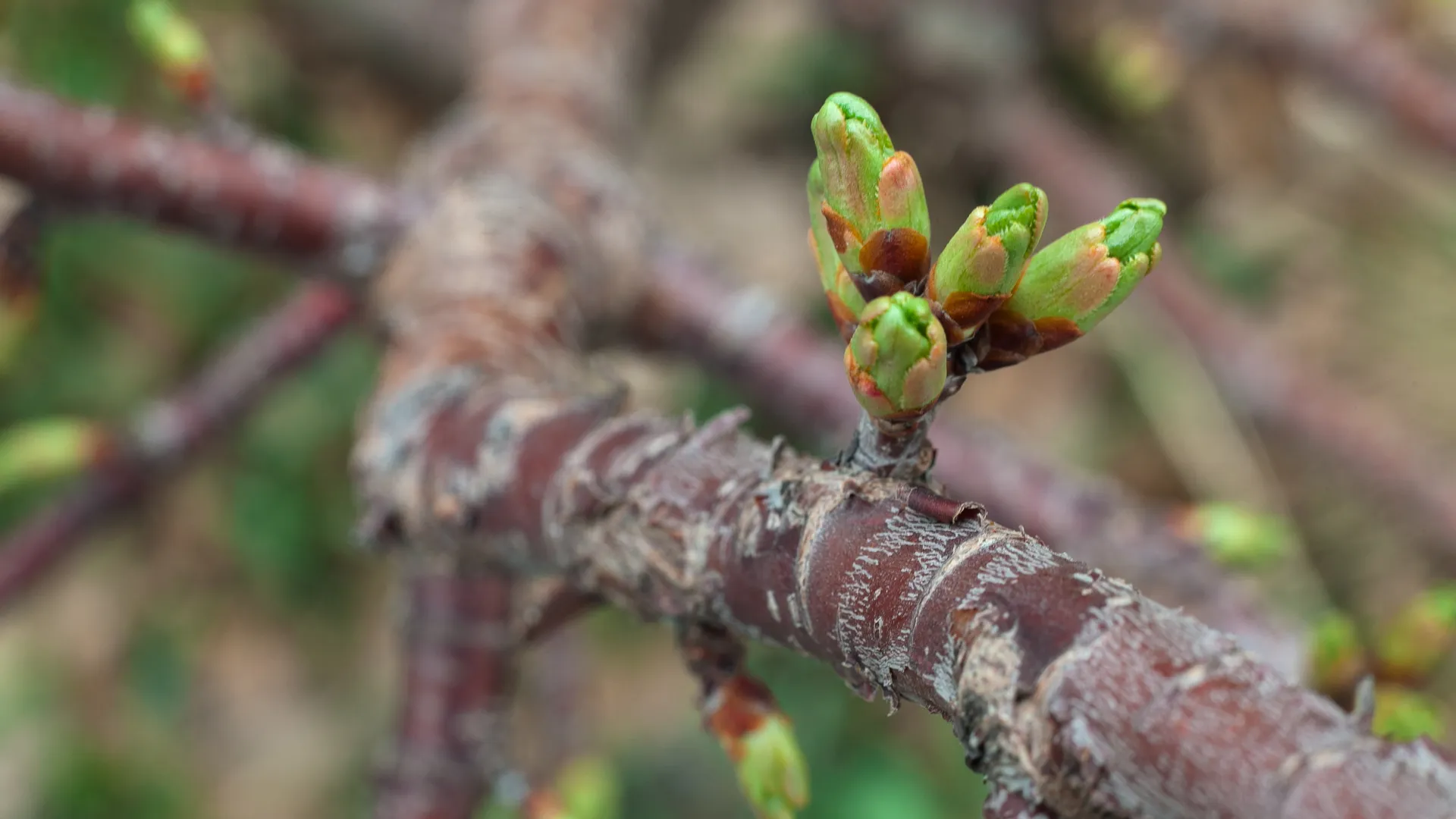 медиасток.рф