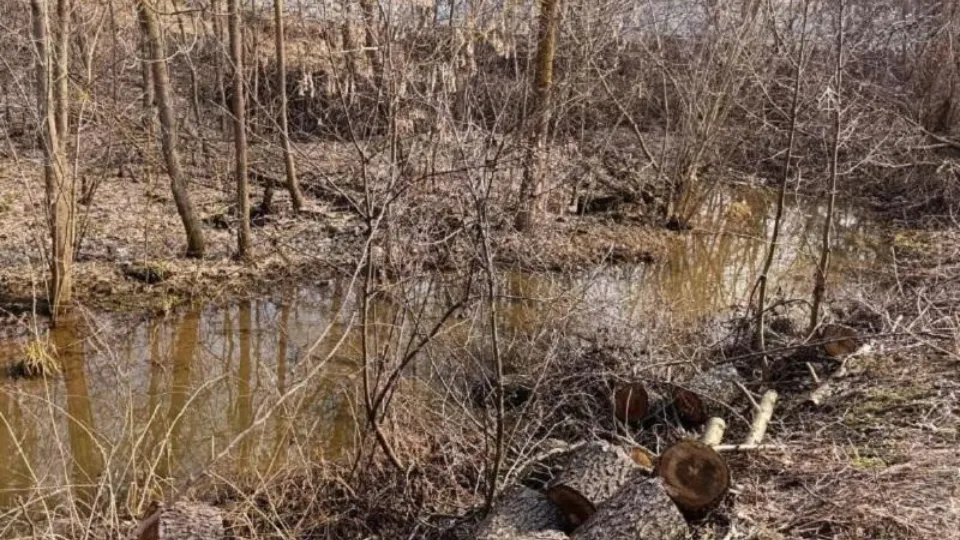 Фото: Минэкологии МО