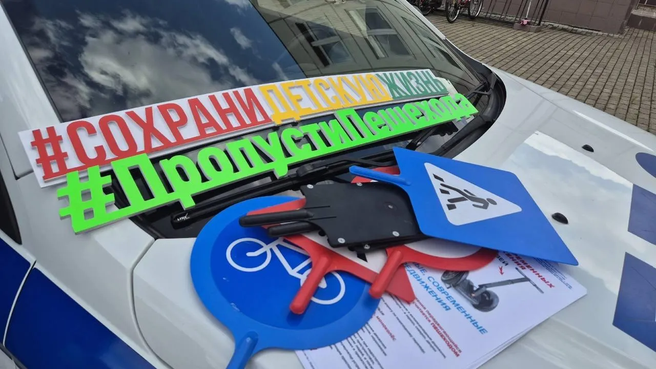 Фото: Отдел надзорной деятельности по Пушкинскому району ГУ МЧС России по Московской области