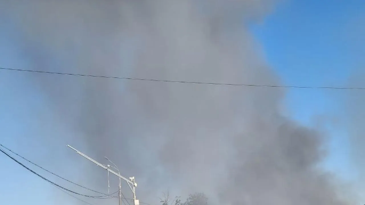 МедиаБанк Подмосковья/Евгения Герасимова