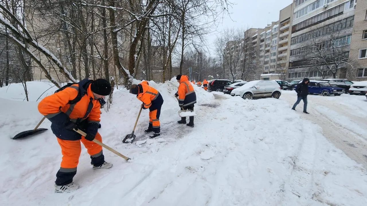 REGIONS/Анна Мороз