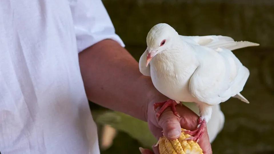 Фото: freepik.com