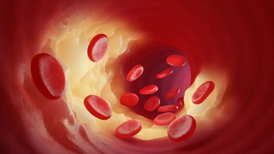 медиасток.рф