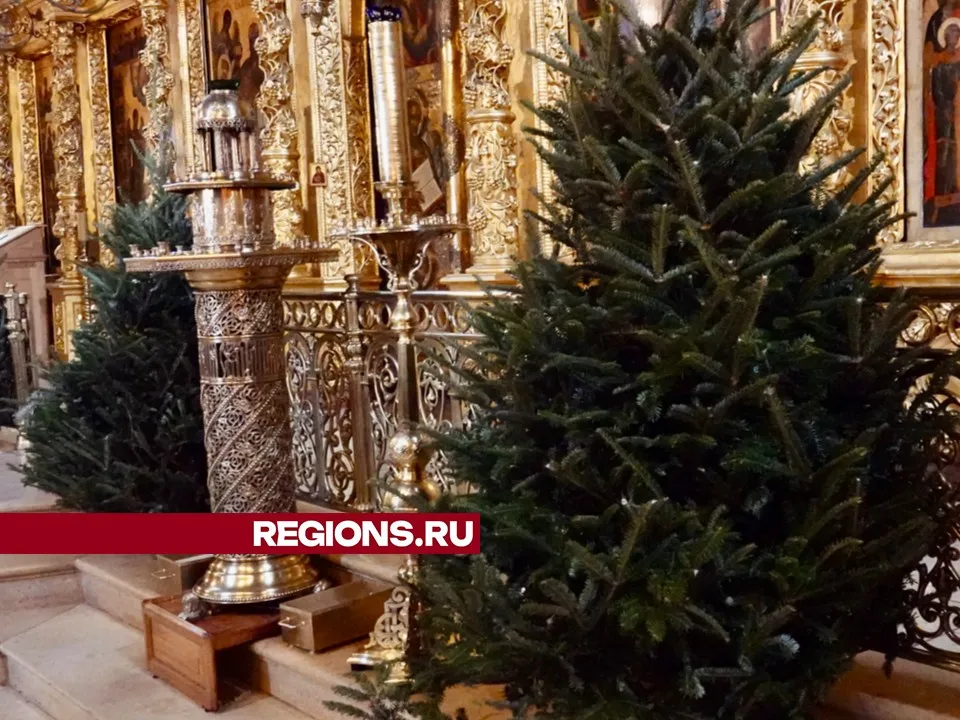 Фото: Дарья Леонова