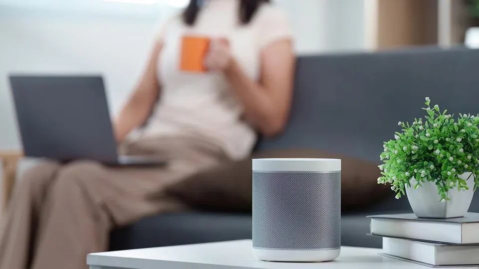 Фото: istockphoto.com/wichayada suwanachun