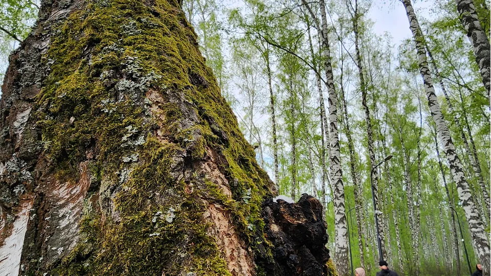 Фото: Наталия Надточая