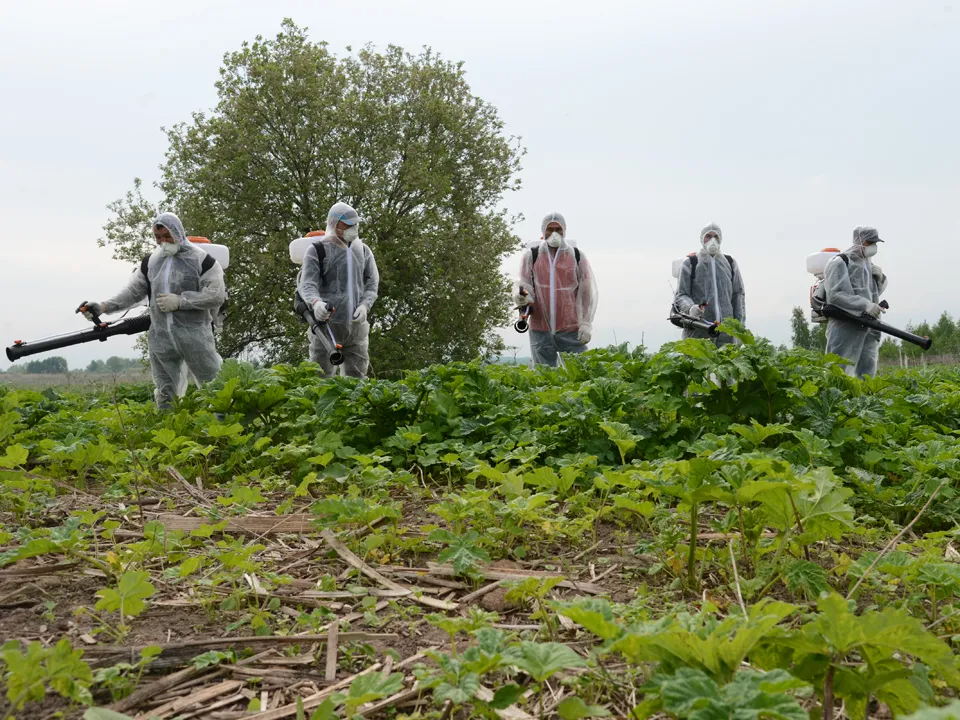 Фото: REGIONS/Нина Соколова