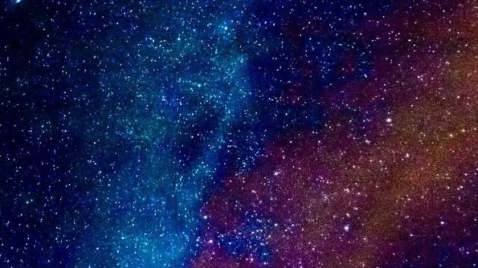 Фото: REGIONS/Владимир Ерастов