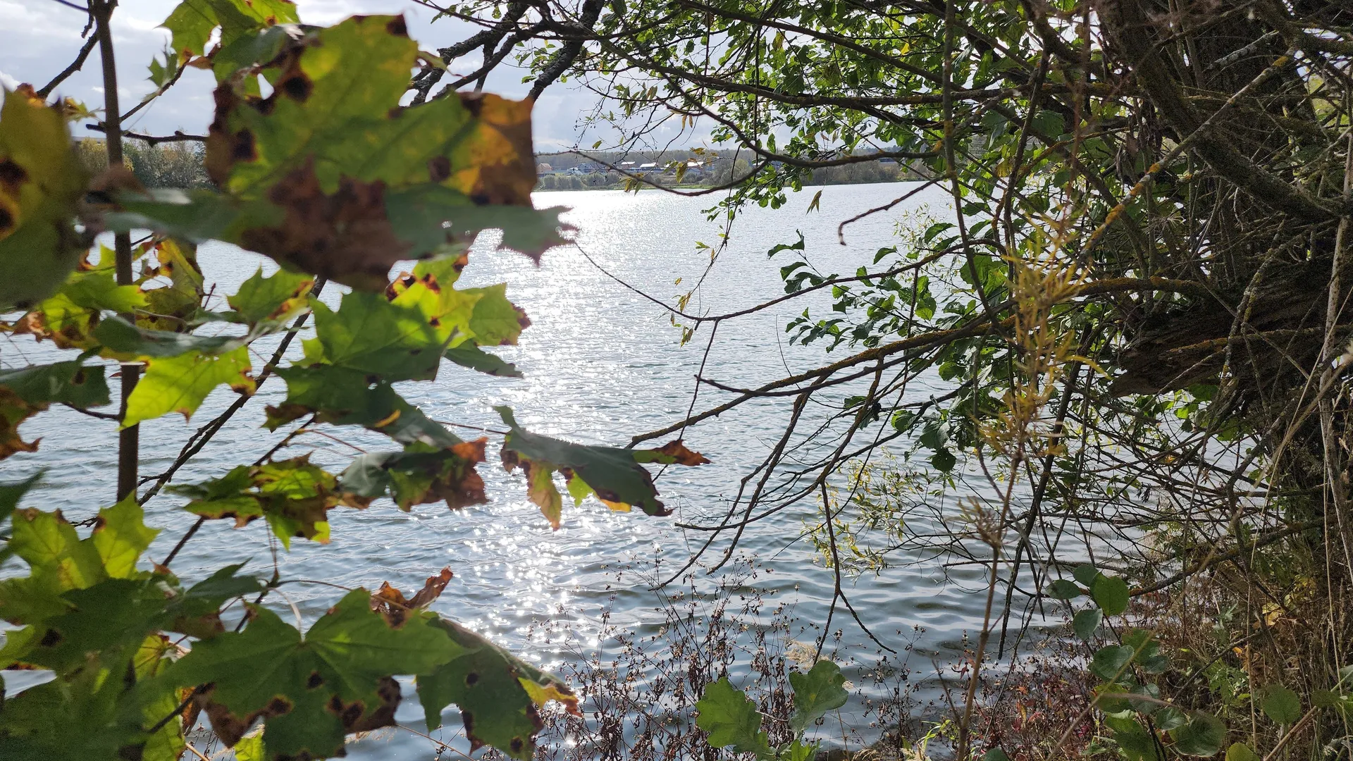 Фото: REGIONS/Наталия Надточая