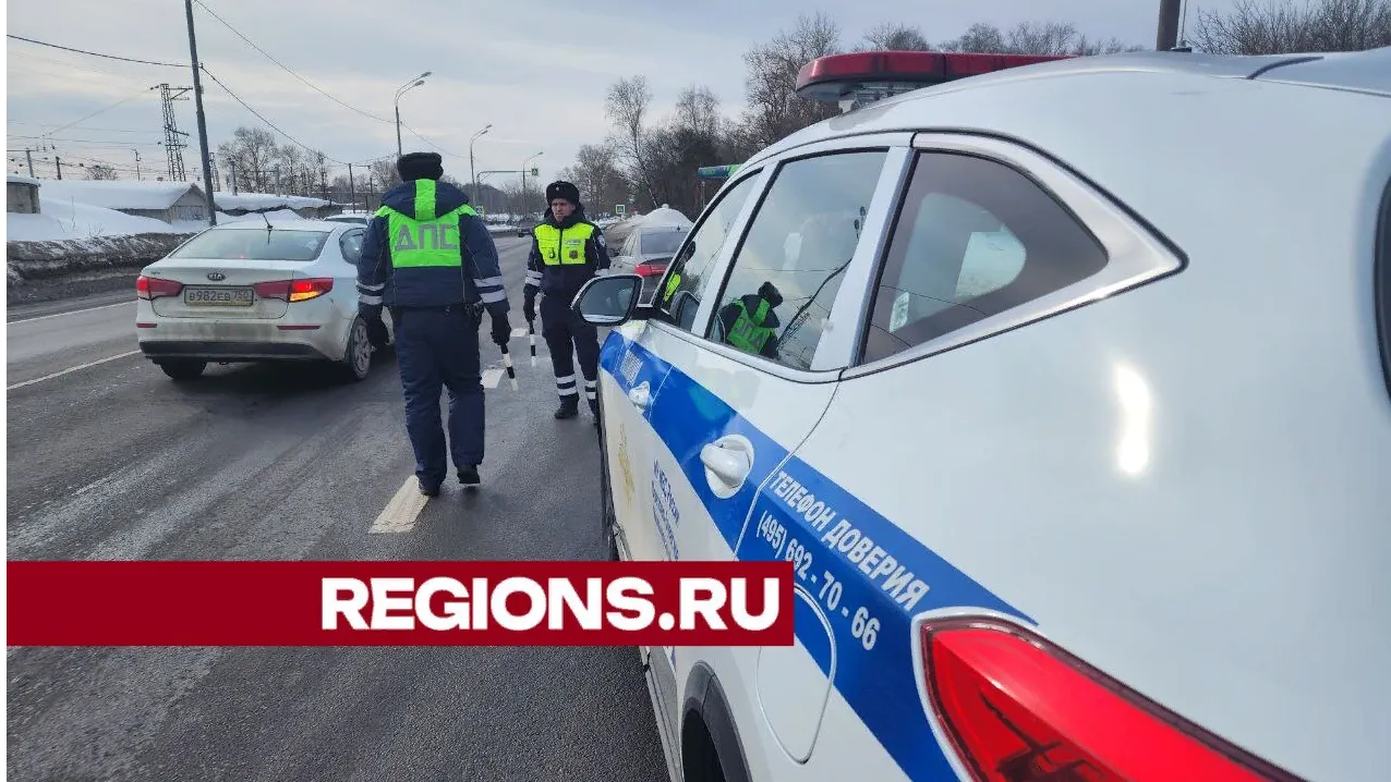 Фото: Ольга Сычева