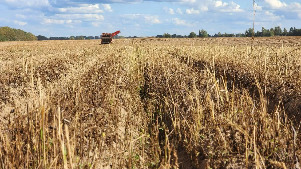 Евгений Рой