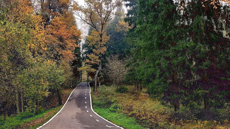 Фото: МБУ «Дирекция парков Одинцовского городского округа»