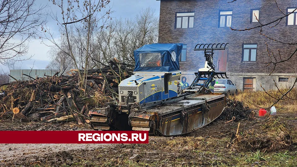 Фото: Роман Савельев