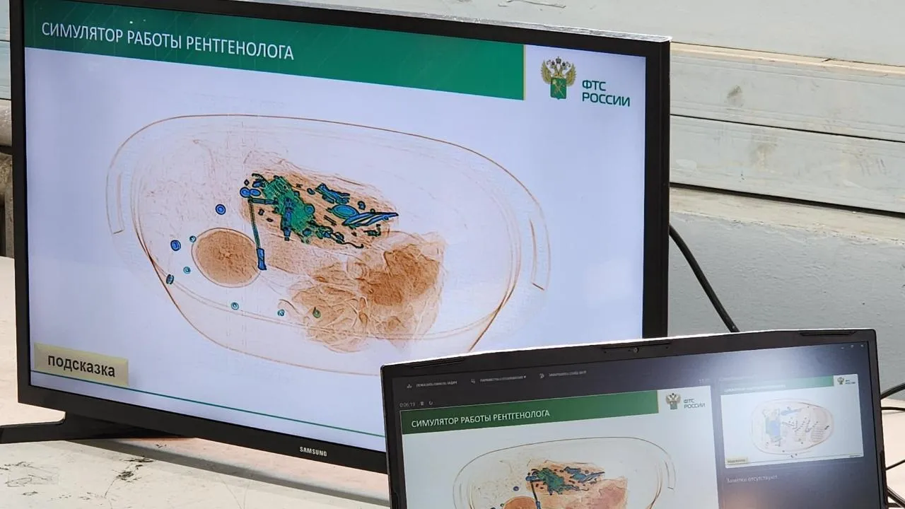 МедиаБанк Подмосковья/Максим Сафронов