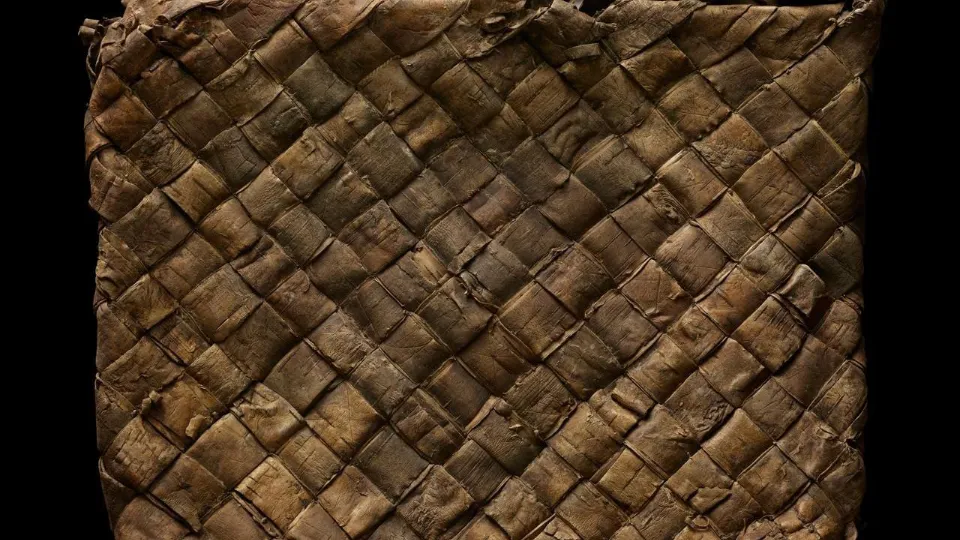 Фото: t.me/fondsposad