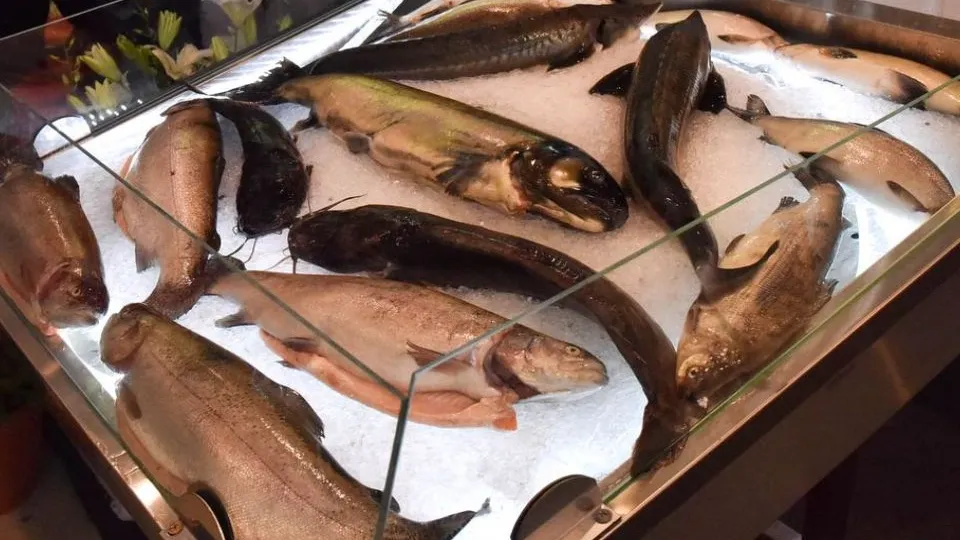 Фото: Медиаархив Подмосковья