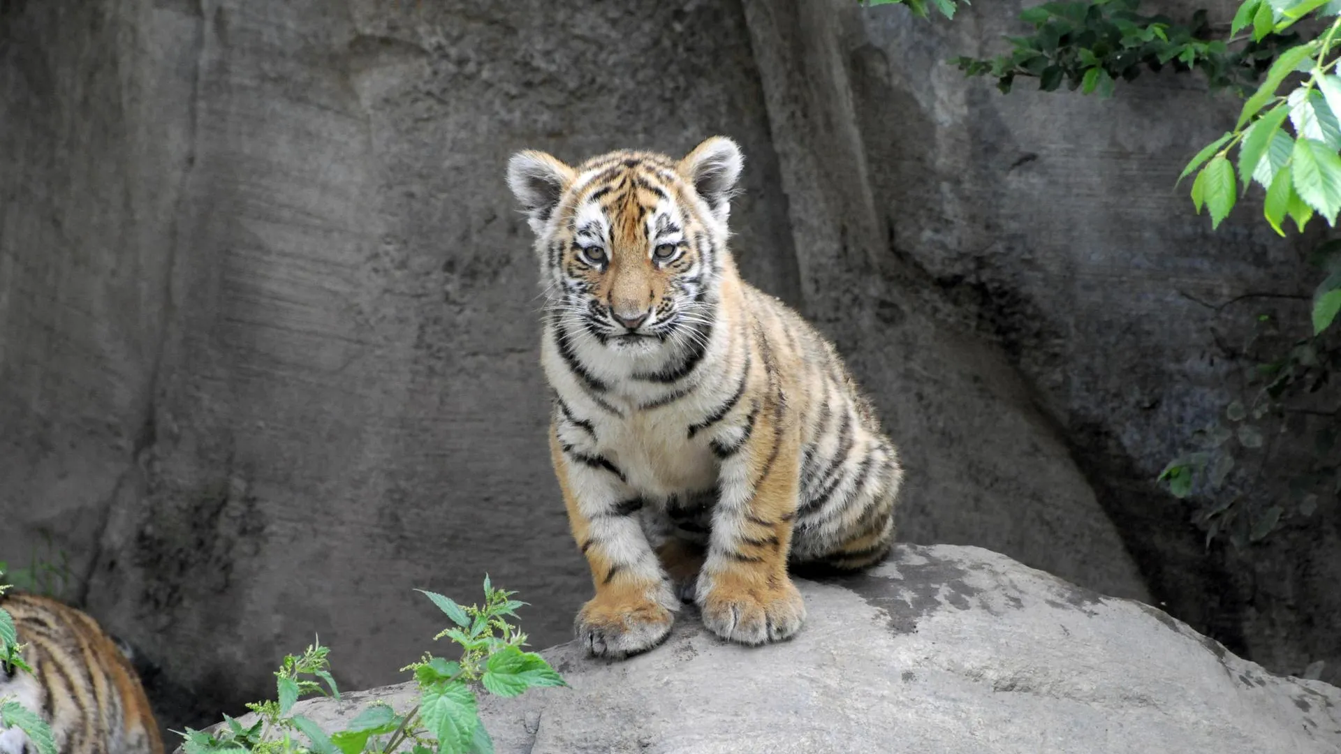 Egon Bömsch/imageBROKER.com