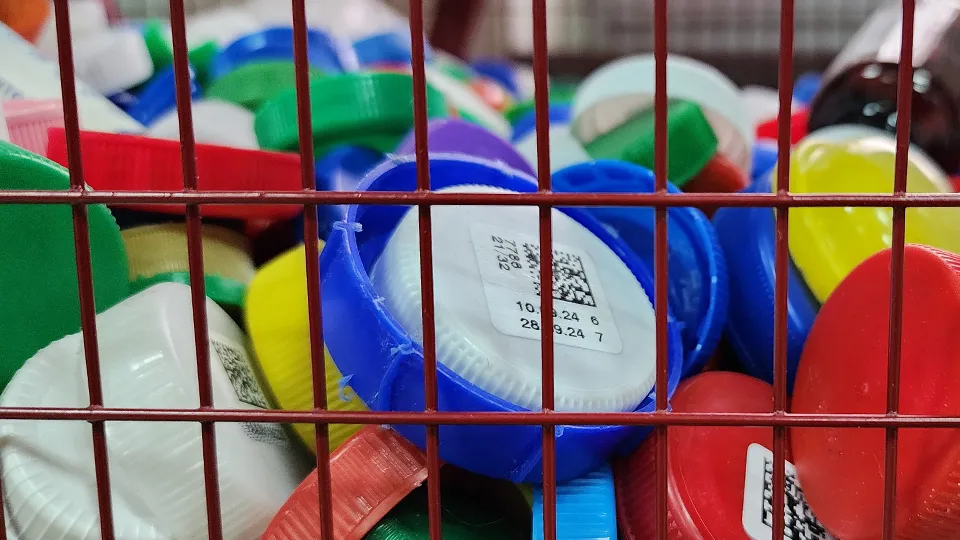 Фото: МедиаБанк Подмосковья/Ксения Пашуто