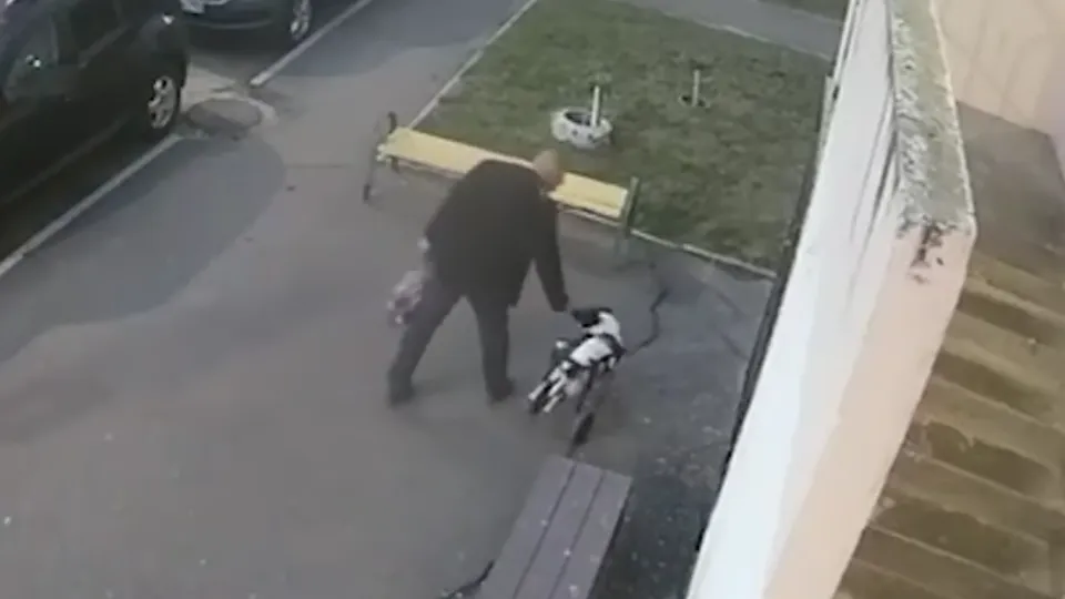 Фото: t.me/IrinaVolk_MVD