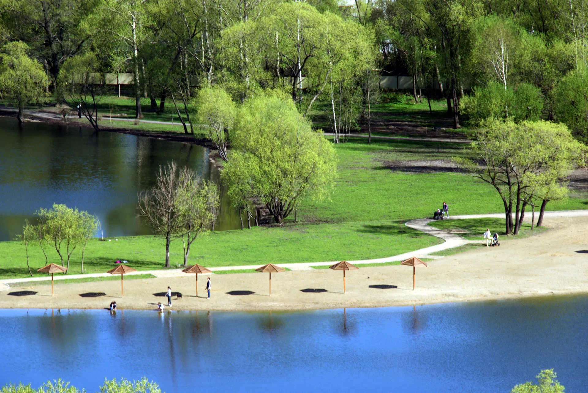 Фото: Александр Легкий<br>