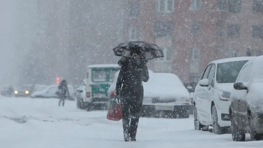 Фото: freepik.com