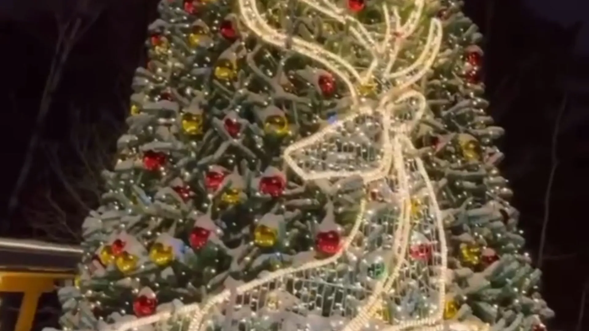 Фото: Парки Одинцовского округа