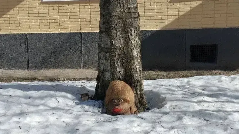 «Мужики, прячьтесь!»: в поселке Подмосковья гадают, кто оставил на газоне голову обезьяны с красными губами