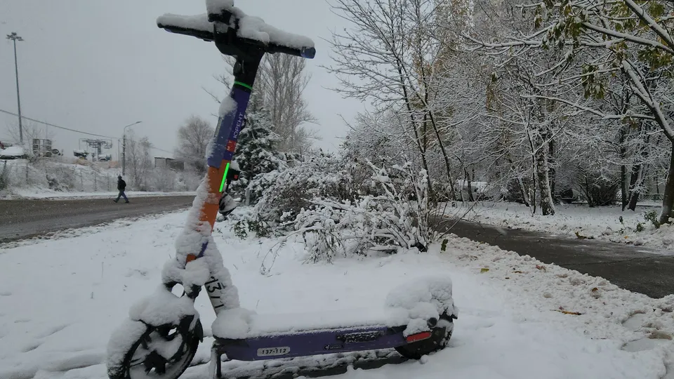 Фото: МедиаБанк Подмосковья/Артем Мишуков