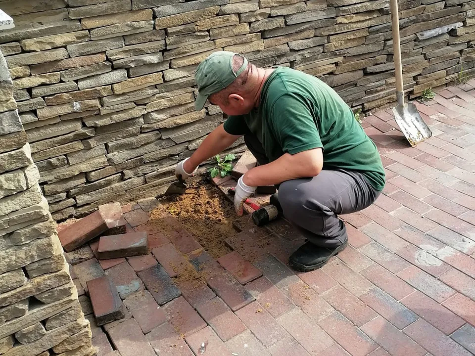 Фото: Служба содержания и благоустройства территорий г. о. Щелково