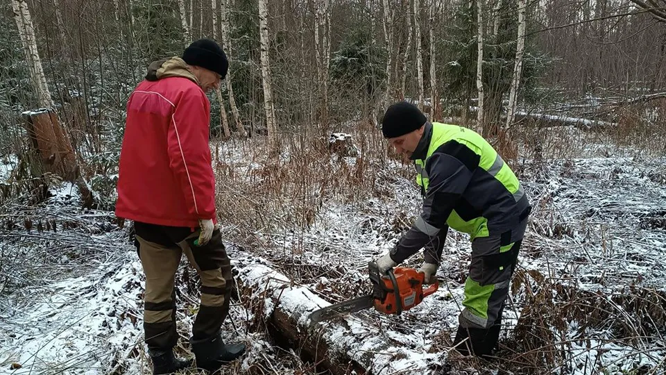 Фото: Комлесхоз МО