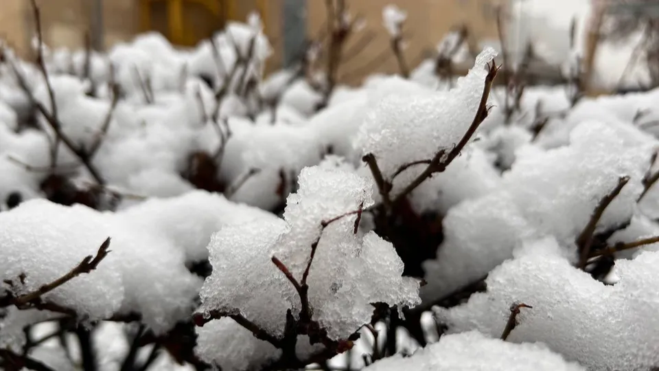 Фото: REGIONS/Елена Фурман