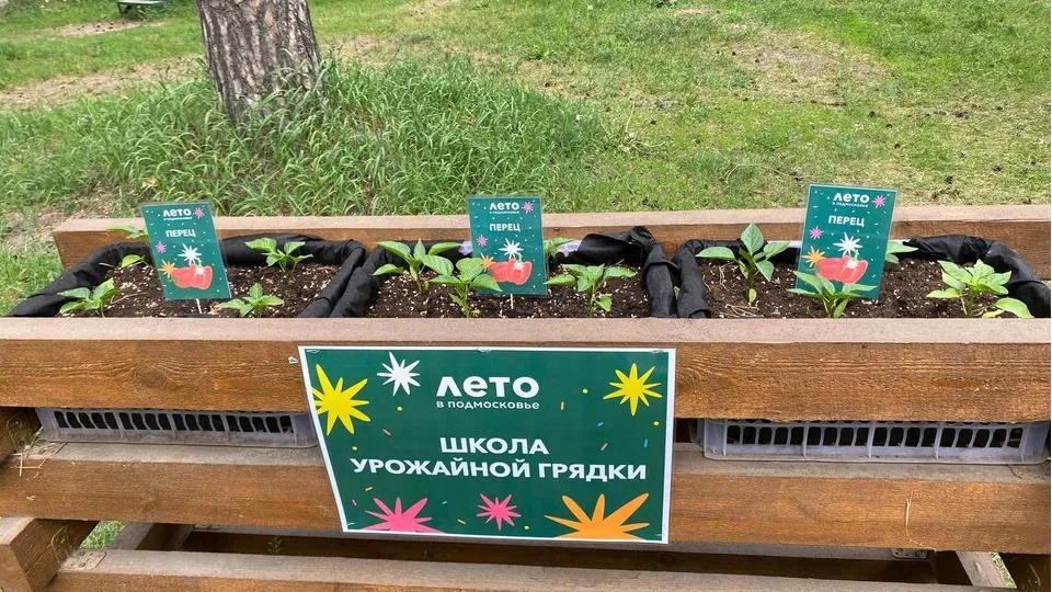 Фото: t.me/kuz_les