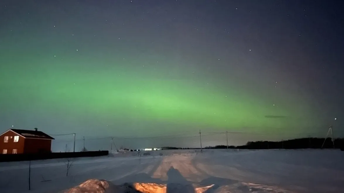 Фото: соцсети