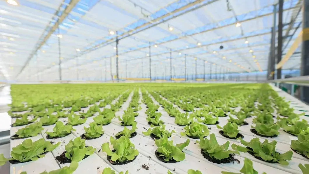 Фото: Константин Семенец